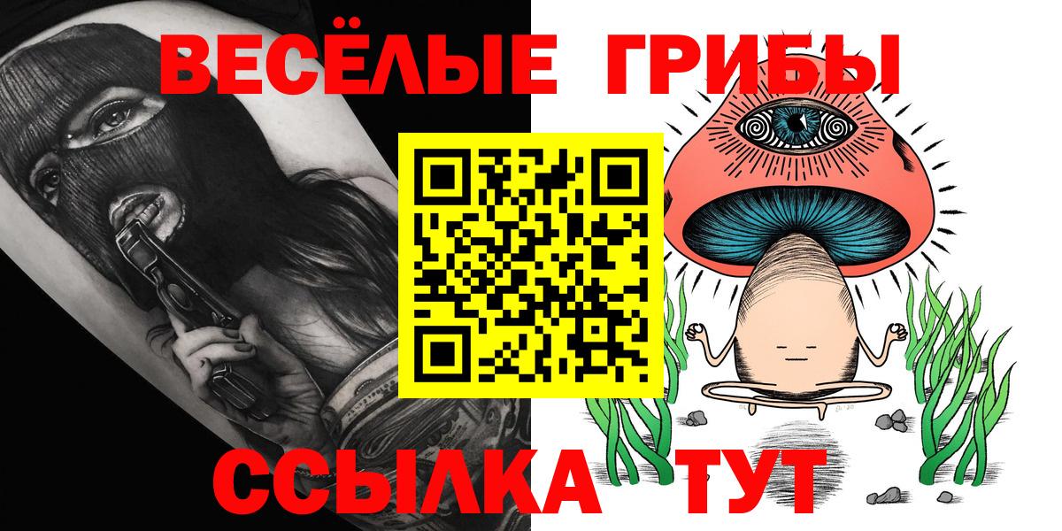 Петровск  Галлюциногенные грибы Cubensis  Вход с VPN  Галлюциногенные грибы GOLDEN TEACHER 